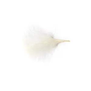 Feathers Ivory